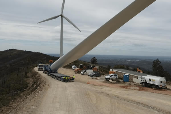 ‘Expansion of wind farms in Algarve will threaten endangered wildlife’, warn campaigners